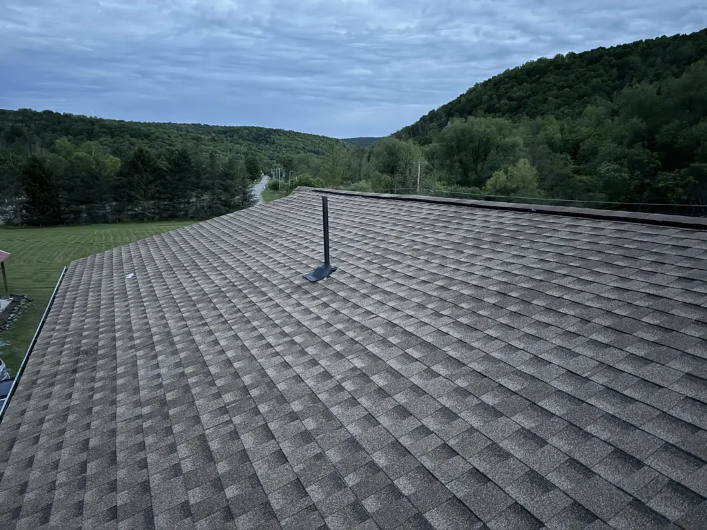 Img 0333